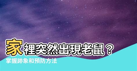 家裡突然出現老鼠|如何判斷家裡有老鼠？觀察這三點抓老鼠變容易